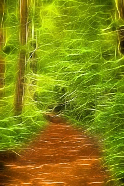 16 sous bois smoky mountains style fusion