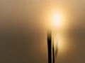 03 soleil levant style impression