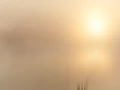 06 soleil levant style impression
