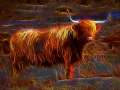 01 vache highland style fusion en ecosse