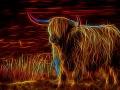 02 vache highland style fusion en ecosse
