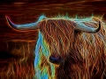03 vache highland style fusion en ecosse