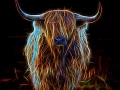 04 vache highland style fusion en ecosse