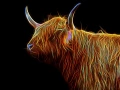 06 vache highland style fusion en ecosse