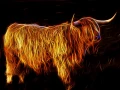 07 vache highland style fusion en ecosse
