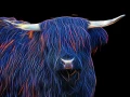 08 vache highland style fusion en ecosse