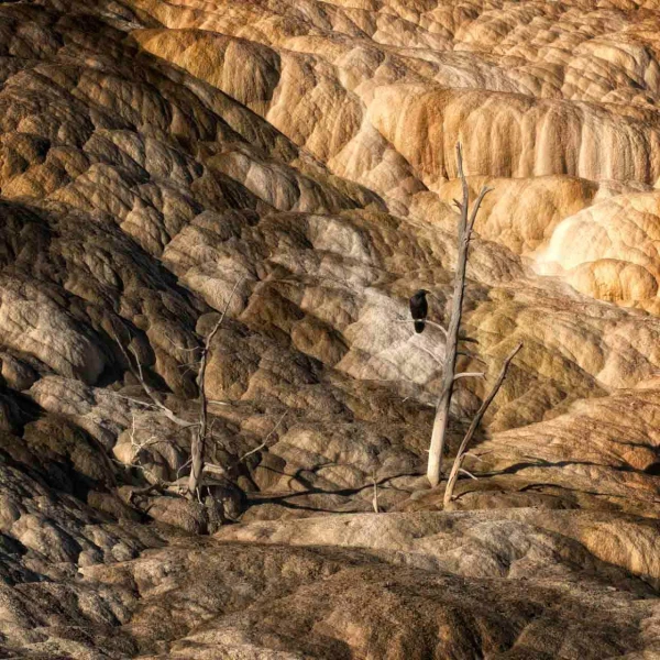 37 paysage du yellowstone en couleur