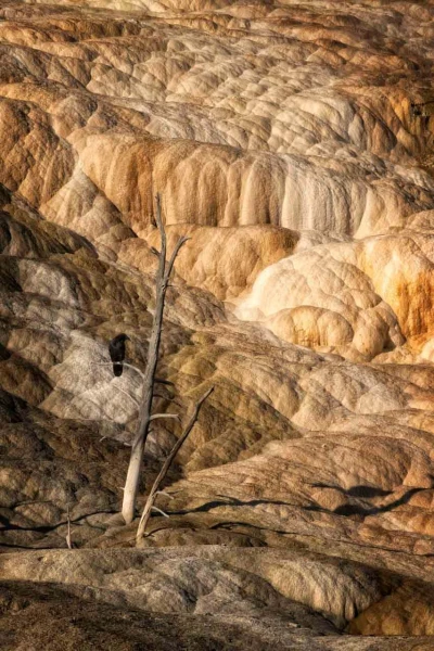 38 paysage du yellowstone en couleur