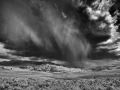 04 paysage du yellowstone en noir et blanc