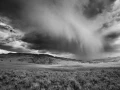 06 paysage du yellowstone en noir et blanc