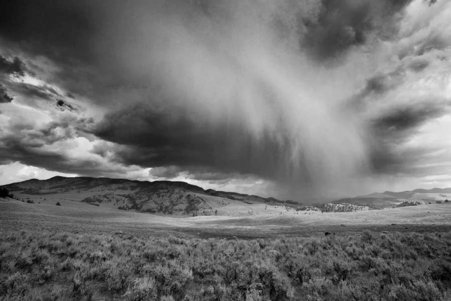 06 paysage du yellowstone en noir et blanc