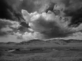 07 paysage du yellowstone en noir et blanc