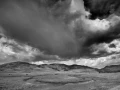 08 paysage du yellowstone en noir et blanc