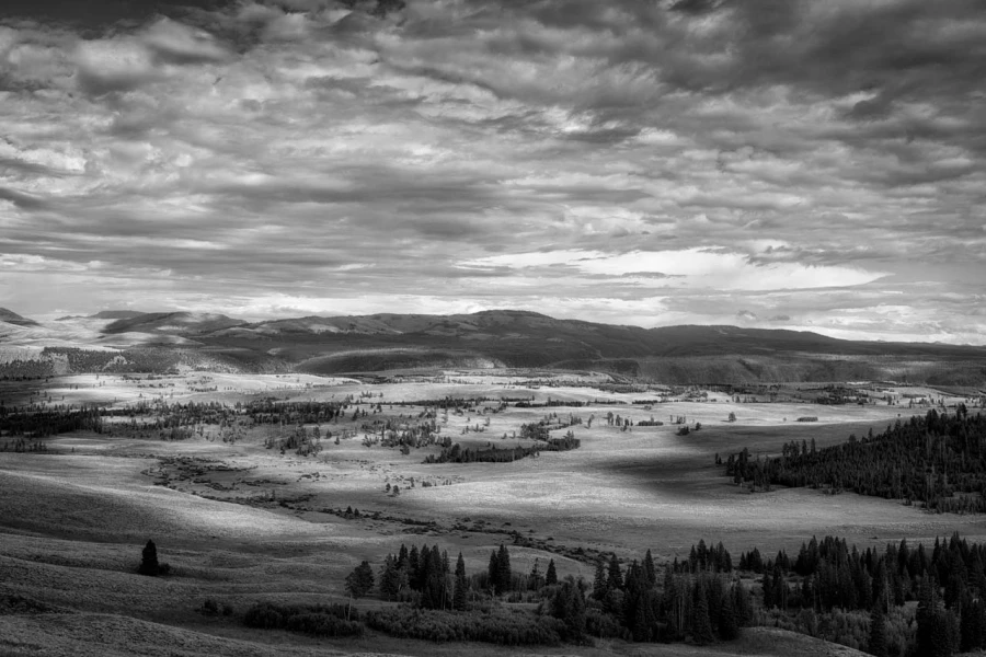 13 paysage du yellowstone en noir et blanc