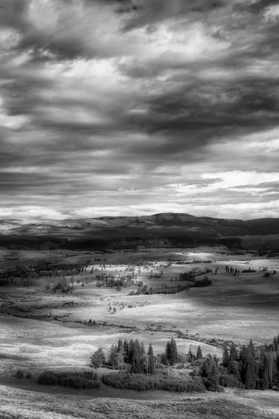14 paysage du yellowstone en noir et blanc