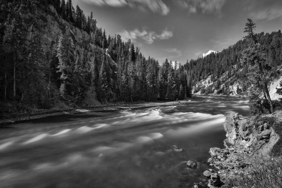 15 paysage du yellowstone en noir et blanc