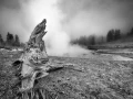 17 paysage du yellowstone en noir et blanc