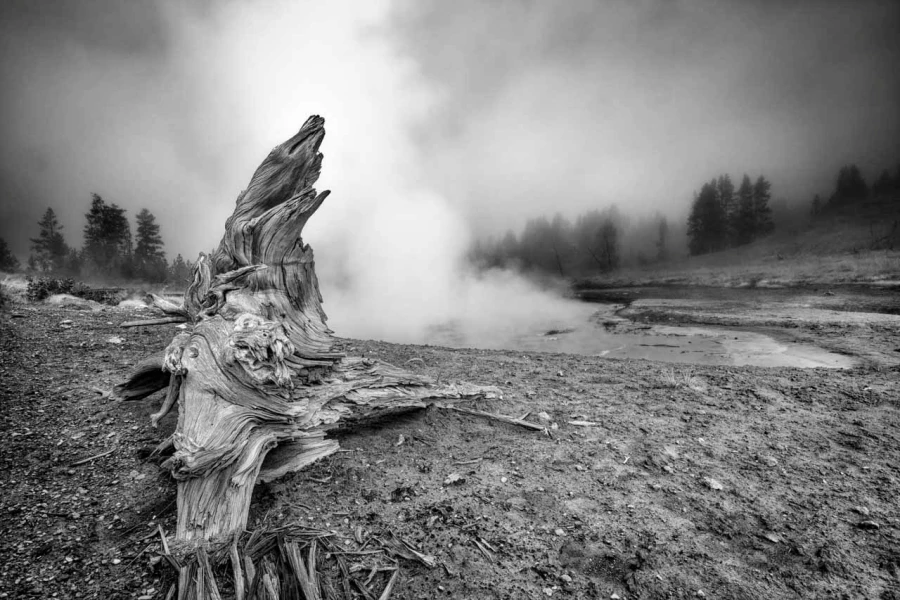 17 paysage du yellowstone en noir et blanc