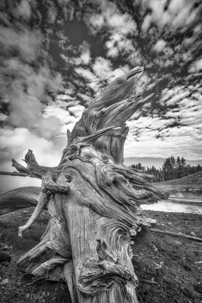 18 paysage du yellowstone en noir et blanc
