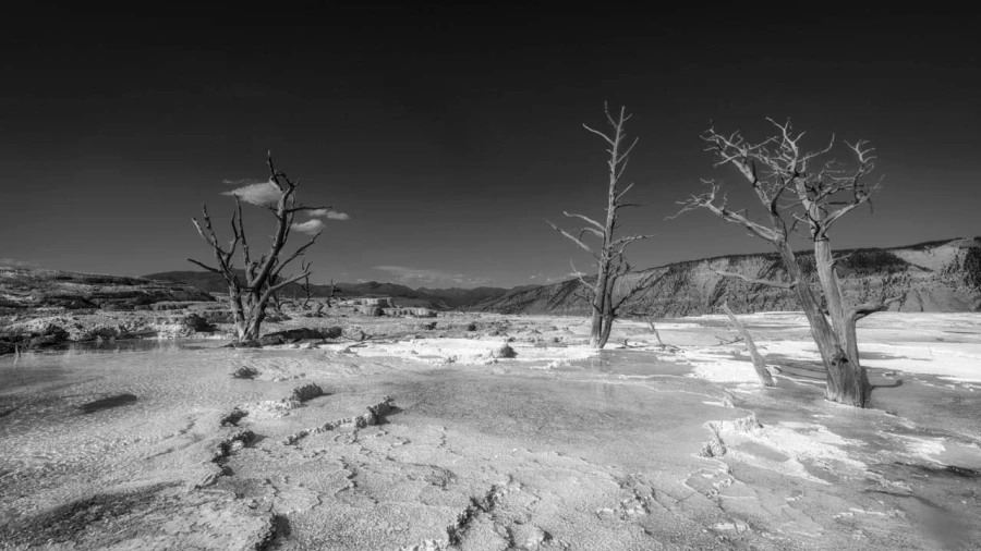 20 paysage du yellowstone en noir et blanc