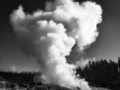 21 paysage du yellowstone en noir et blanc