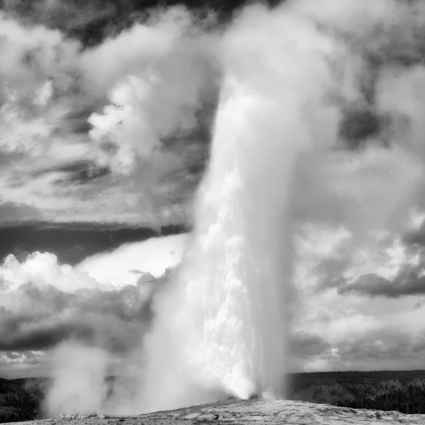 27 paysage du yellowstone en noir et blanc
