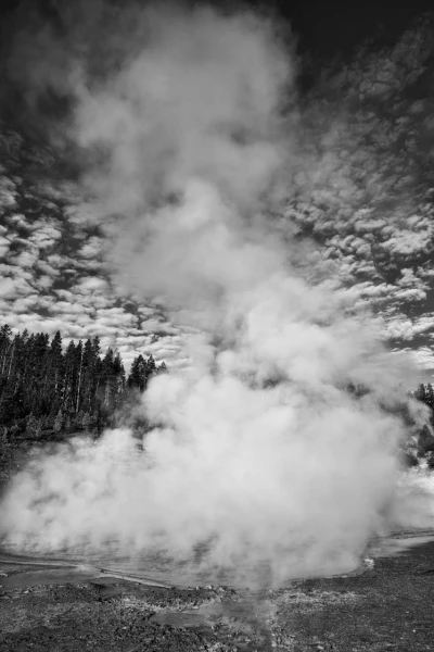 29 paysage du yellowstone en noir et blanc