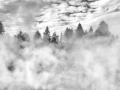 32 paysage du yellowstone en noir et blanc