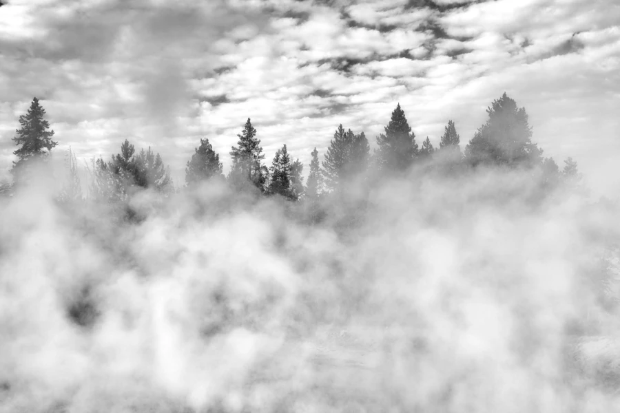 32 paysage du yellowstone en noir et blanc