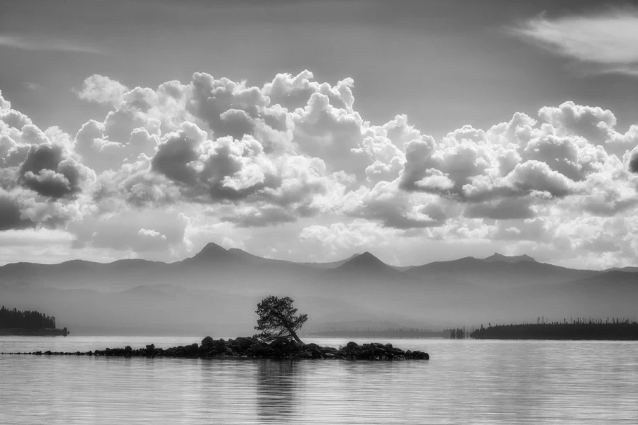 37 paysage du yellowstone en noir et blanc