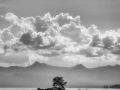 38 paysage du yellowstone en noir et blanc