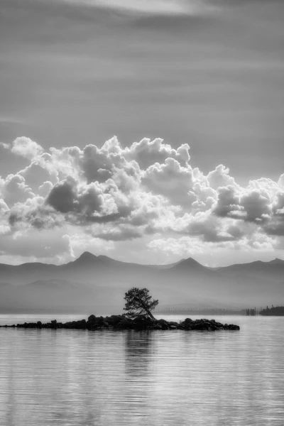 38 paysage du yellowstone en noir et blanc