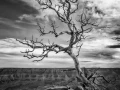 0011 paysage etats unis noir et blanc