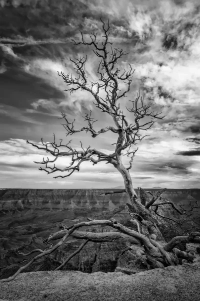0011 paysage etats unis noir et blanc