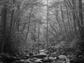 0028 paysage etats unis noir et blanc