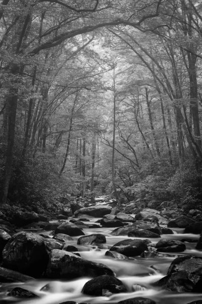 0028 paysage etats unis noir et blanc