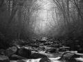 0029 paysage etats unis noir et blanc