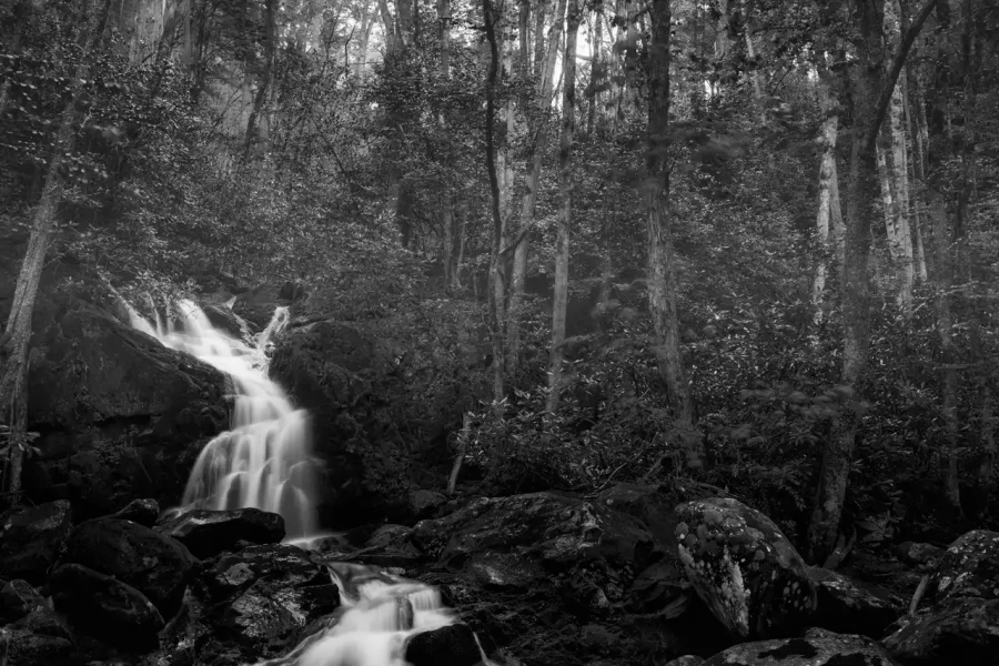 0030 paysage etats unis noir et blanc