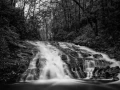 0032 paysage etats unis noir et blanc