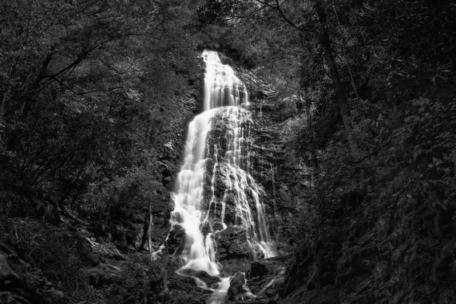 0034 paysage etats unis noir et blanc