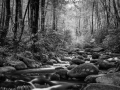 0035 paysage etats unis noir et blanc