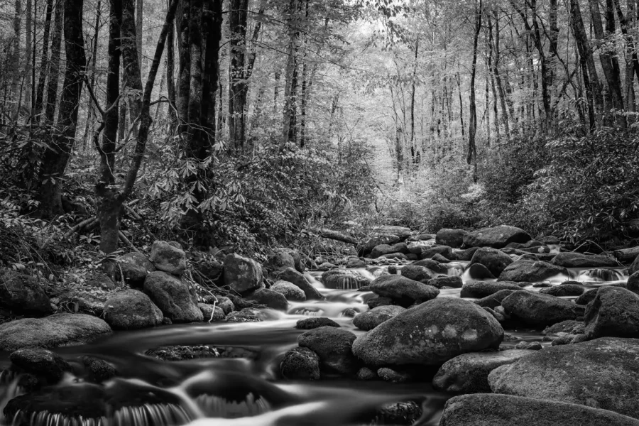 0035 paysage etats unis noir et blanc