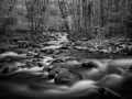 0036 paysage etats unis noir et blanc