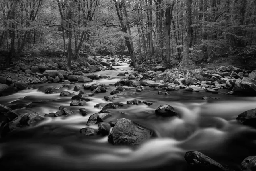 0036 paysage etats unis noir et blanc