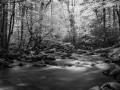 0037 paysage etats unis noir et blanc