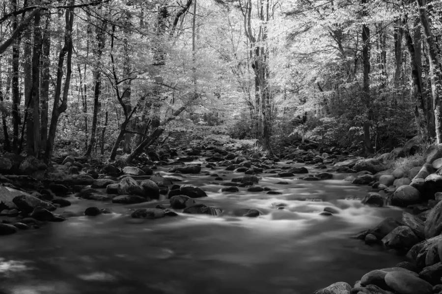 0037 paysage etats unis noir et blanc