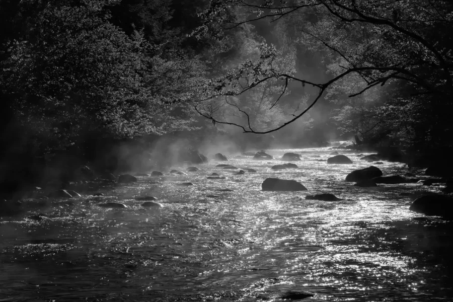 0038 paysage etats unis noir et blanc
