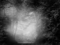0039 paysage etats unis noir et blanc