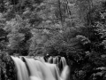 0040 paysage etats unis noir et blanc