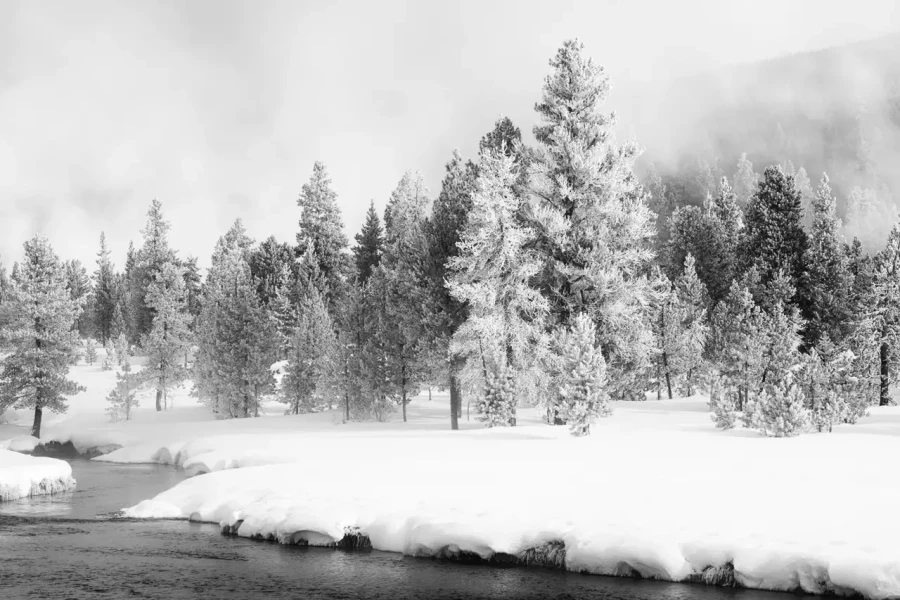 0041 paysage etats unis noir et blanc